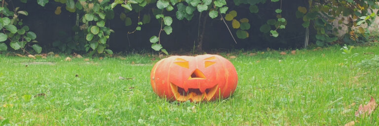 Lire la suite à propos de l’article Halloween : quelles activités réaliser avec son enfant ?