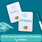 Cartes effaçables