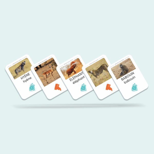 Lot de cartes Qui Chantent – Image 2