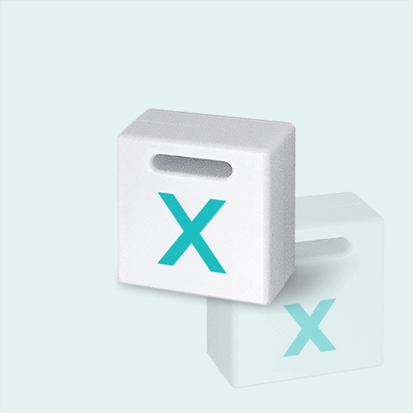 Pavé X